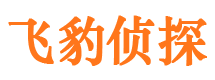 平湖外遇出轨调查取证